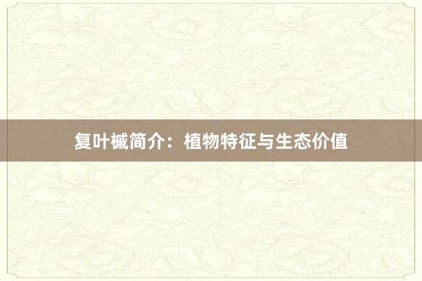 复叶槭简介：植物特征与生态价值