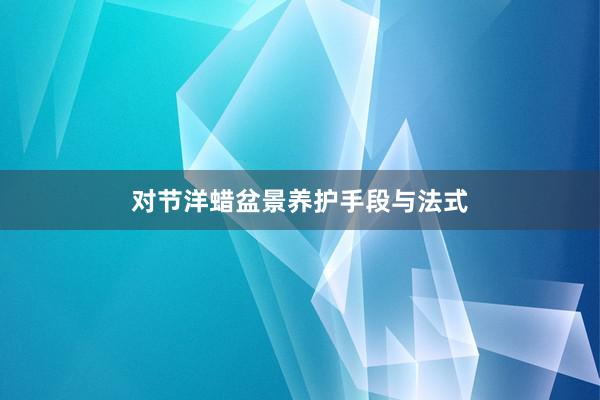 对节洋蜡盆景养护手段与法式