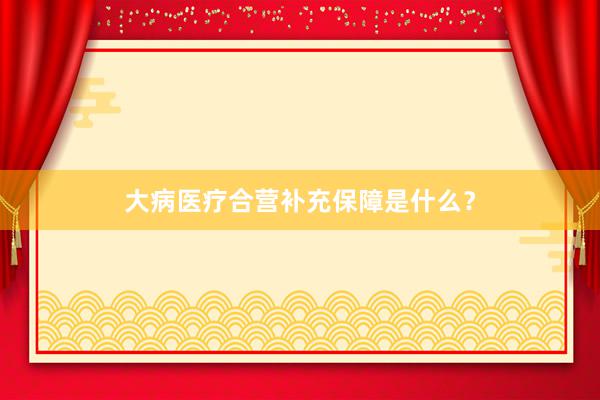 大病医疗合营补充保障是什么？